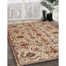 Machine Washable Traditional Sienna Brown Rug in a Family Room, wshtr4295