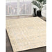 Machine Washable Traditional Brown Rug in a Family Room, wshtr4303