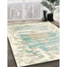 Machine Washable Traditional Gold Rug in a Family Room, wshtr4311