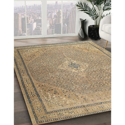 Traditional Brown Persian Rug in Family Room, tr4314