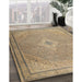 Machine Washable Traditional Brown Rug in a Family Room, wshtr4314