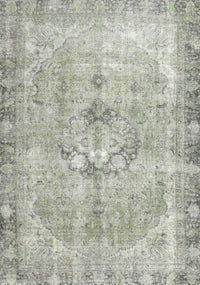 Machine Washable Traditional Pale Silver Gray Rug, wshtr4317