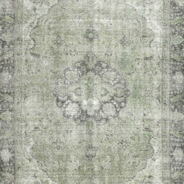 Machine Washable Traditional Pale Silver Gray Rug, wshtr4317