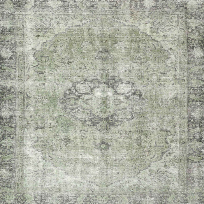 Round Machine Washable Traditional Pale Silver Gray Rug, wshtr4317