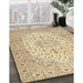 Machine Washable Traditional Sun Yellow Rug in a Family Room, wshtr4329