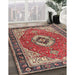 Traditional Fire Brick Red Persian Rug in Family Room, tr4333