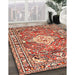 Traditional Sandy Brown Medallion Rug in Family Room, tr4340