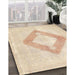 Machine Washable Traditional Gold Rug in a Family Room, wshtr4344