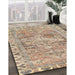 Machine Washable Traditional Brown Rug in a Family Room, wshtr4345