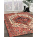 Traditional Tangerine Pink Persian Rug in Family Room, tr4350