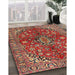 Traditional Red Medallion Rug in Family Room, tr4352