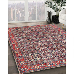 Traditional Brown Red Persian Rug in Family Room, tr4360