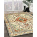 Traditional Khaki Gold Persian Rug in Family Room, tr4371