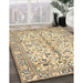 Machine Washable Traditional Sun Yellow Rug in a Family Room, wshtr4380