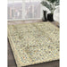 Traditional Khaki Gold Persian Rug in Family Room, tr4389