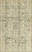 Traditional Khaki Gold Persian Rug, tr4389