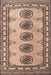 Machine Washable Traditional Chestnut Brown Rug, wshtr438