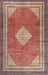 Traditional Fire Brick Red Medallion Rug, tr4395