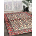 Traditional Brown Red Persian Rug in Family Room, tr4396