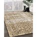 Machine Washable Traditional Dark Almond Brown Rug in a Family Room, wshtr4404