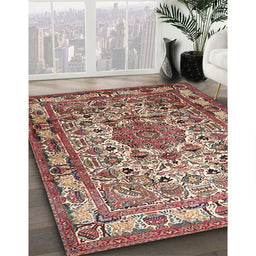 Traditional Brown Red Medallion Rug in Family Room, tr441