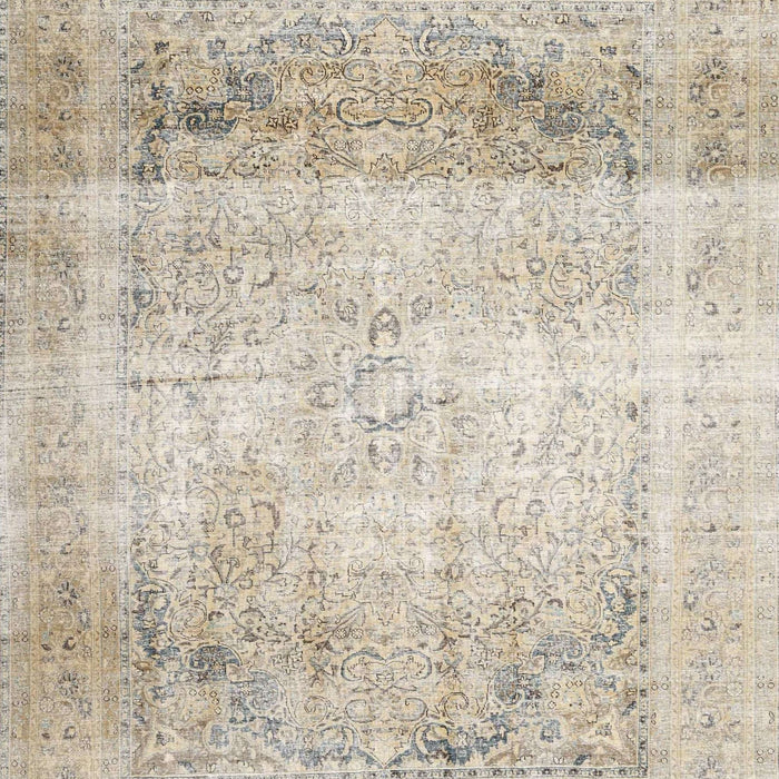Traditional Light French Beige Brown Persian Rug, tr4421