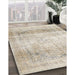 Machine Washable Traditional Light French Beige Brown Rug in a Family Room, wshtr4421