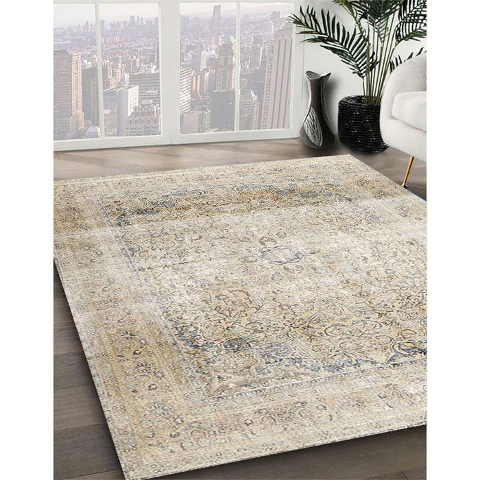 Traditional Light French Beige Brown Persian Rug in Family Room, tr4421