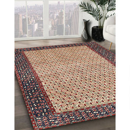 Traditional Red Persian Rug in Family Room, tr4423