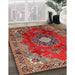 Traditional Orange Salmon Pink Medallion Rug in Family Room, tr442