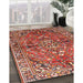 Traditional Light Copper Gold Persian Rug in Family Room, tr4431