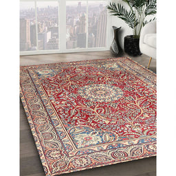 Traditional Brown Red Medallion Rug in Family Room, tr4432