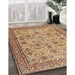 Machine Washable Traditional Mahogany Brown Rug in a Family Room, wshtr4433