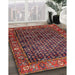 Traditional Rust Pink Persian Rug in Family Room, tr4438