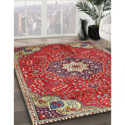 Traditional Red Persian Rug in Family Room, tr4441