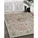 Machine Washable Traditional Desert Sand Beige Rug in a Family Room, wshtr4446