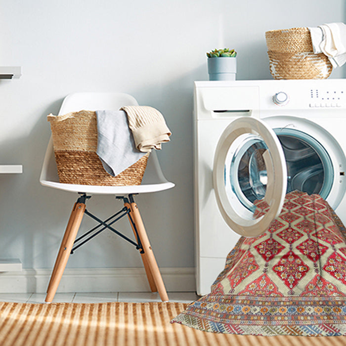 Machine Washable Traditional Brown Rug in a Washing Machine, wshtr4450