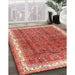 Machine Washable Traditional Tangerine Pink Rug in a Family Room, wshtr4455