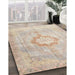 Machine Washable Traditional Light French Beige Brown Rug in a Family Room, wshtr4459