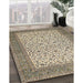 Machine Washable Traditional Brown Rug in a Family Room, wshtr447