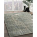 Machine Washable Traditional Sage Green Rug in a Family Room, wshtr4480