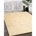 Machine Washable Traditional Gold Rug in a Family Room, wshtr4481