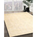 Machine Washable Traditional Khaki Gold Rug in a Family Room, wshtr4487