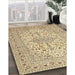 Traditional Brown Gold Persian Rug in Family Room, tr4496