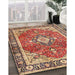 Machine Washable Traditional Sandy Brown Rug in a Family Room, wshtr4498