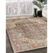 Traditional Dark Gold Brown Medallion Rug in Family Room, tr4502