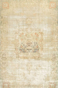 Machine Washable Traditional Gold Rug, wshtr4505