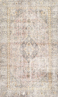 Machine Washable Traditional Light French Beige Brown Rug, wshtr4506