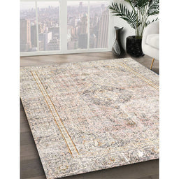 Traditional Light French Beige Brown Persian Rug in Family Room, tr4506