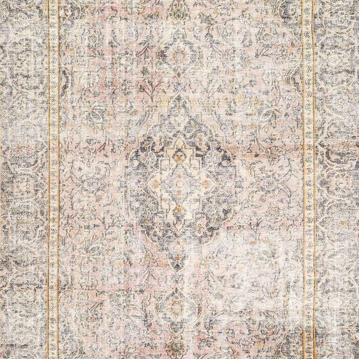 Traditional Light French Beige Brown Persian Rug, tr4506